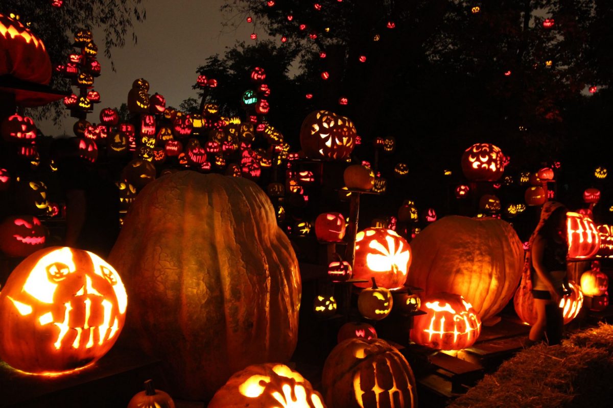 Providence Jack O' Lanterns