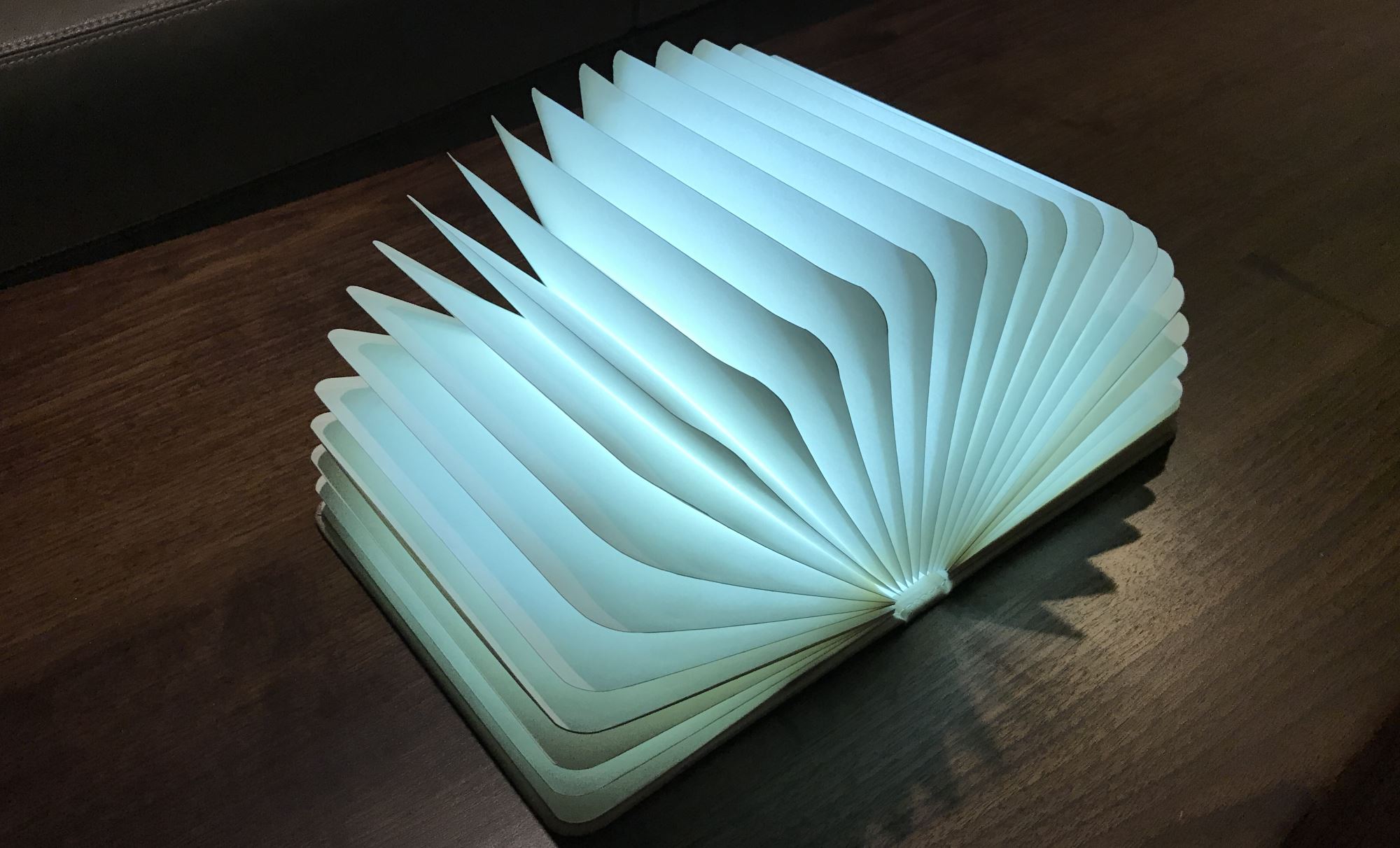 Veesee 8-Color Book Lamp