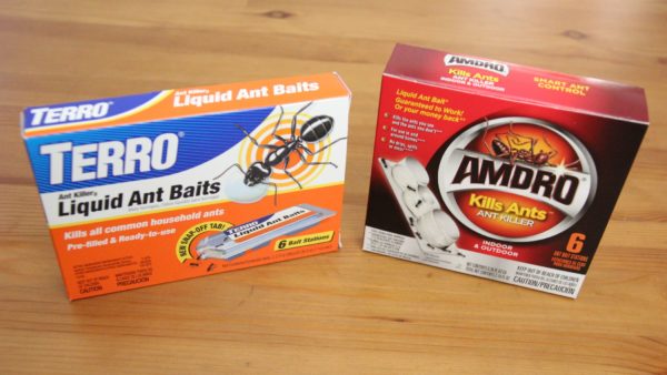How to Get Rid of Ants in Your Home: Terro vs. Amdro Liquid Ant Bait
