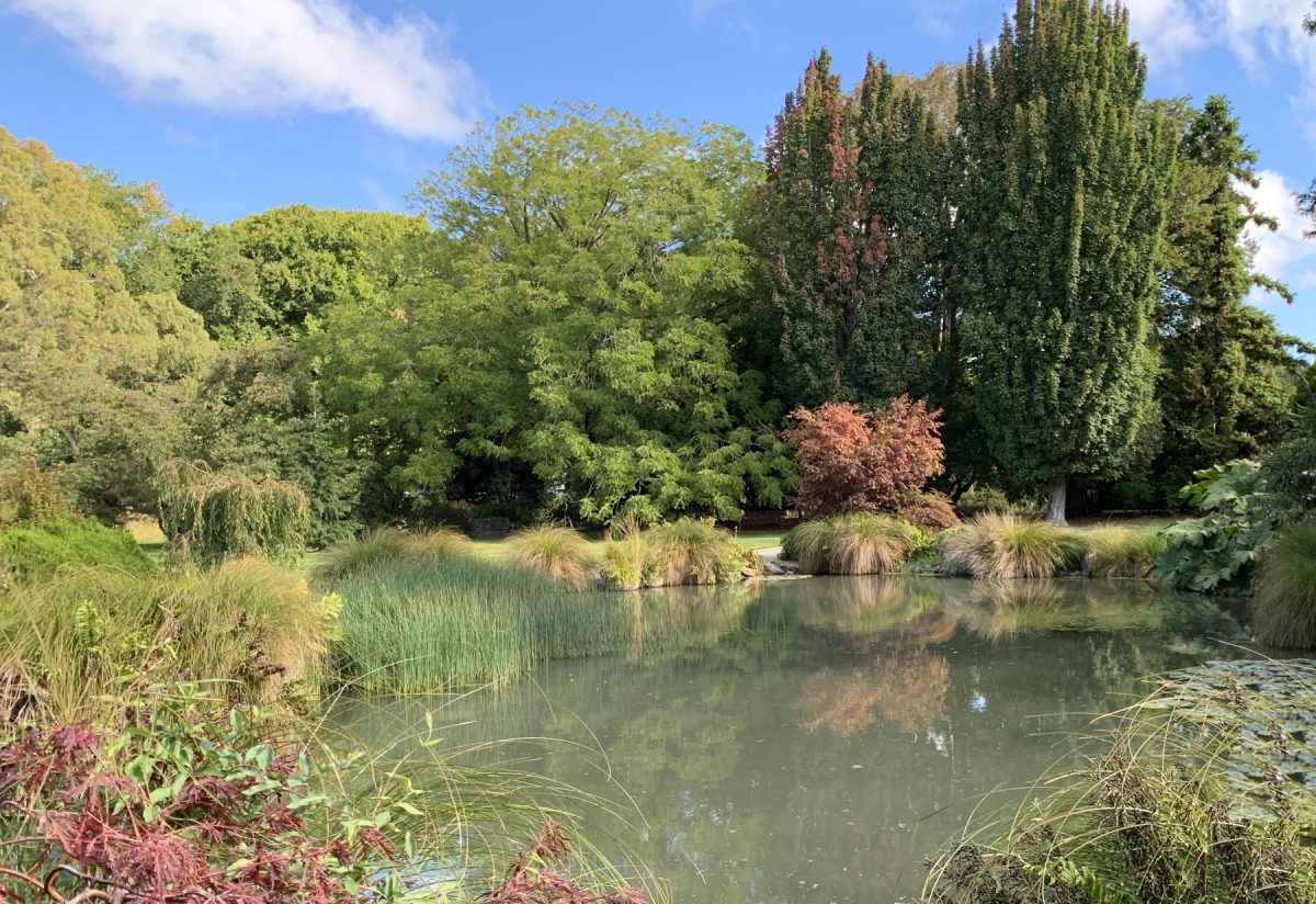 Christchurch Botanical Gardens 