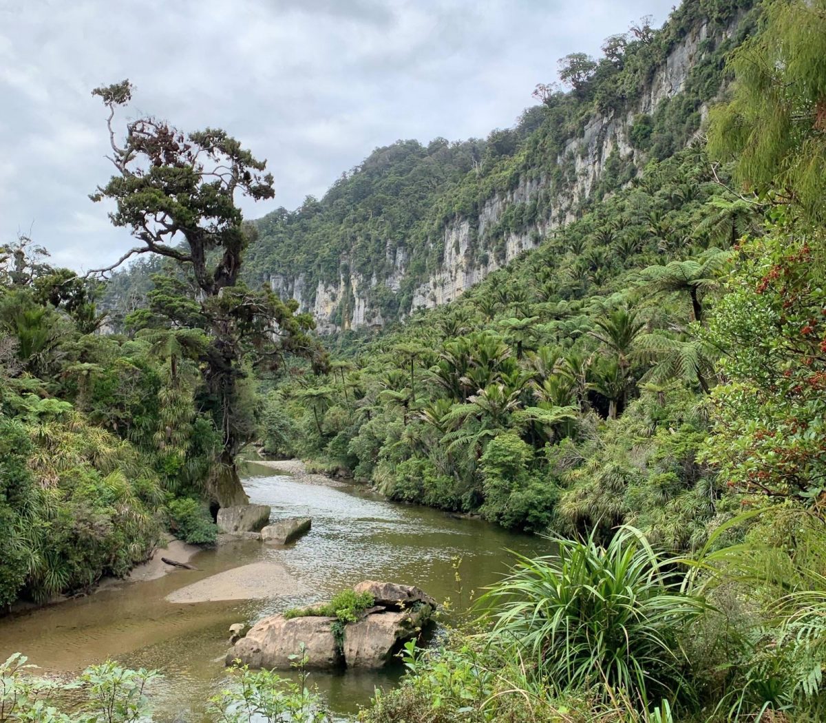 Pororari River Track