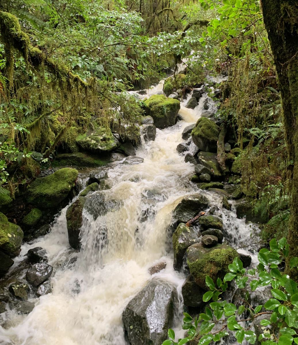 White water at the Chasm