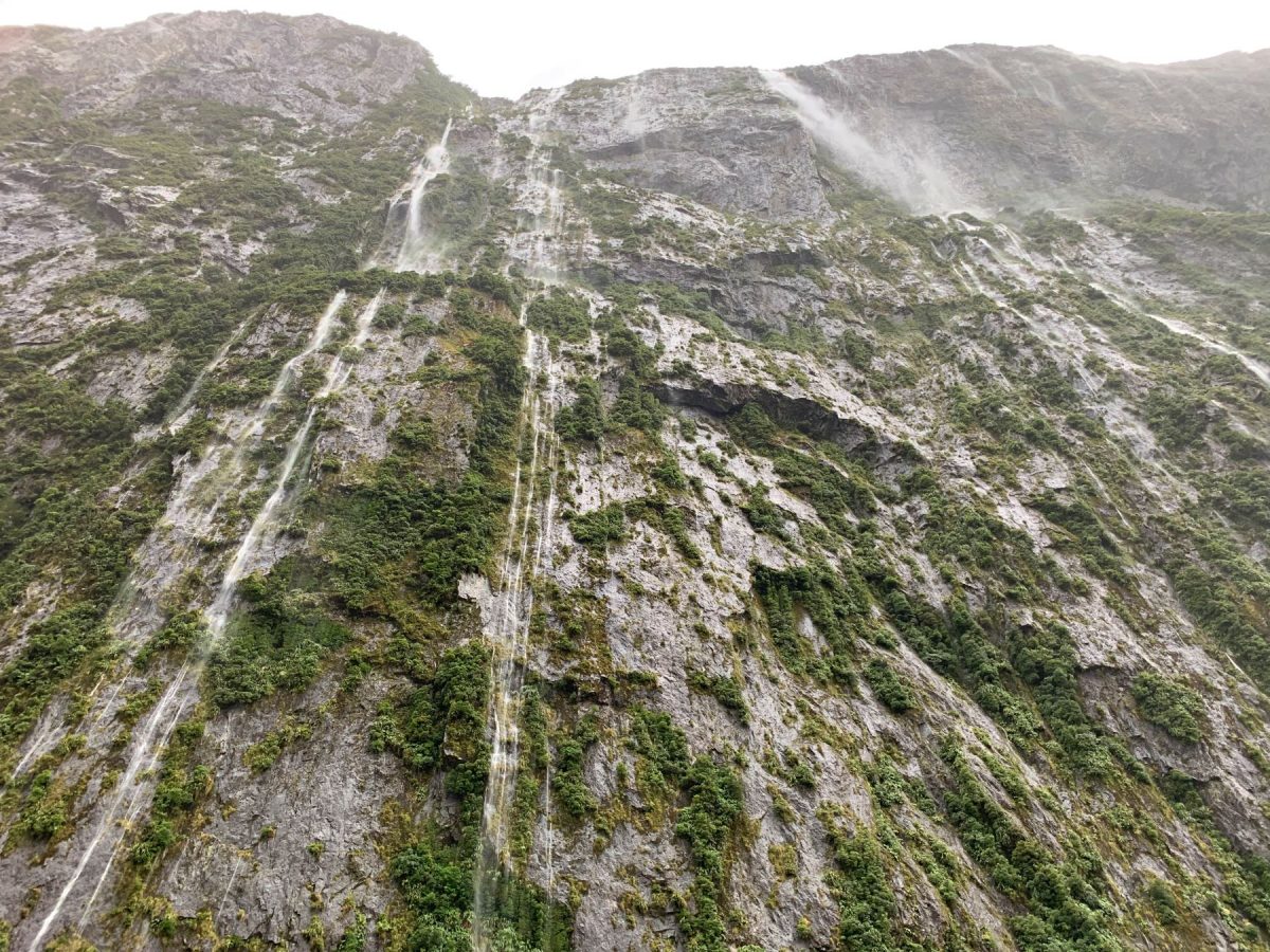 Waterfalls in Milford Sound