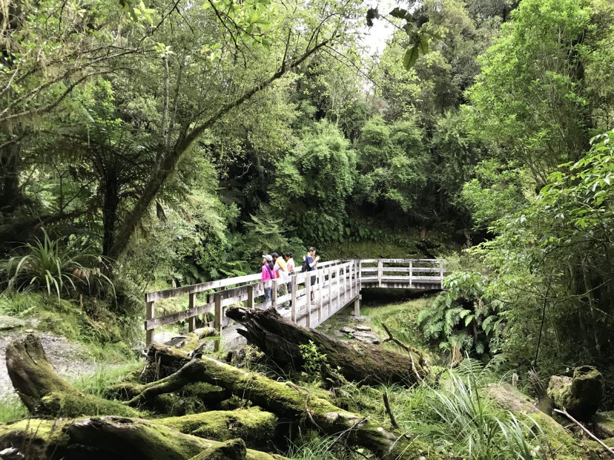 Hike in the town of Franz Joseph Glacier