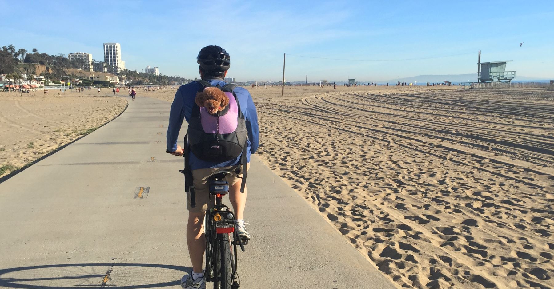 Dog backpack