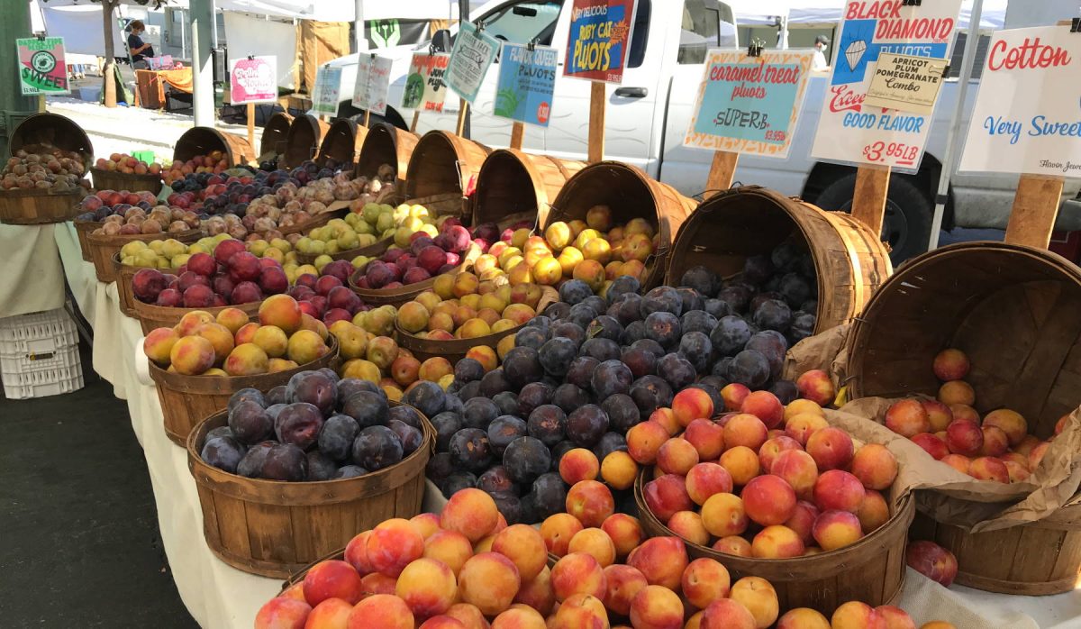 The Hollywood Farmers Market