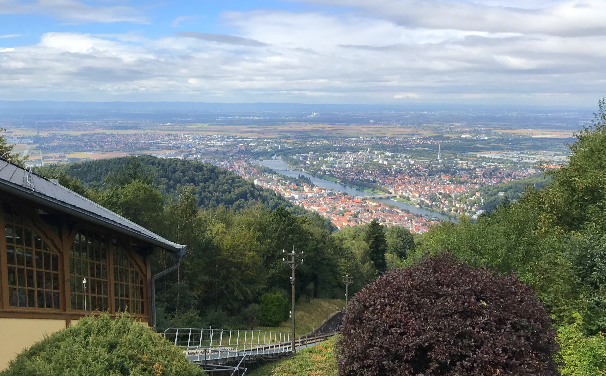 Viewpoint Konigstuhl