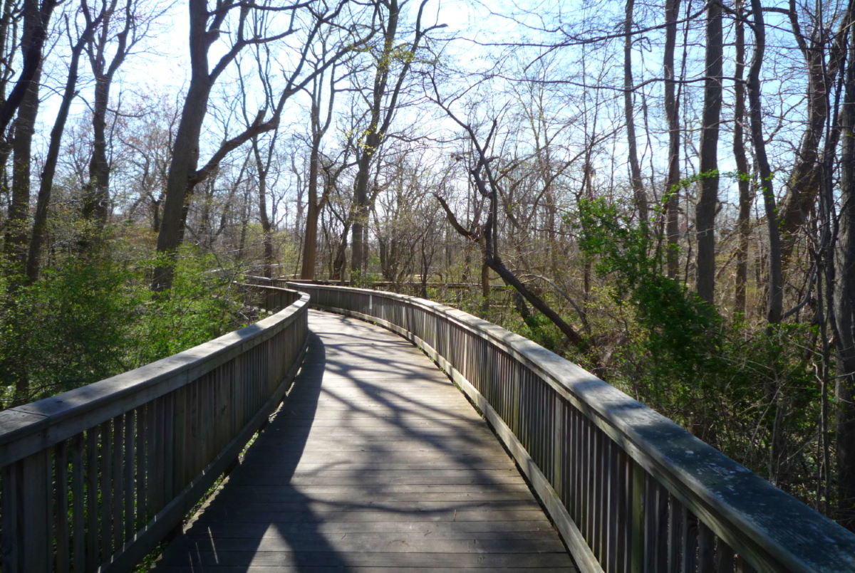 The Claire D. McIntosh Wildlife Refuge