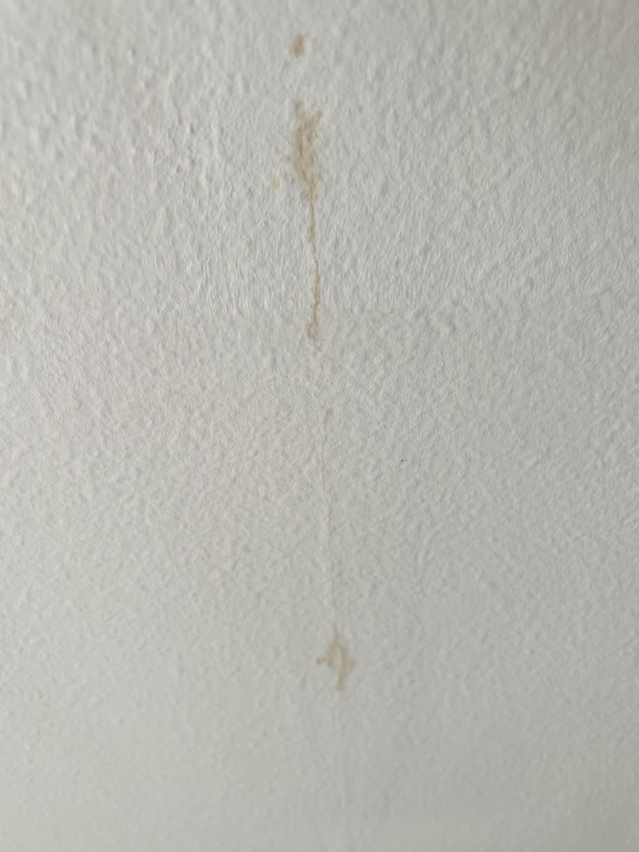 Water stains in the ceiling